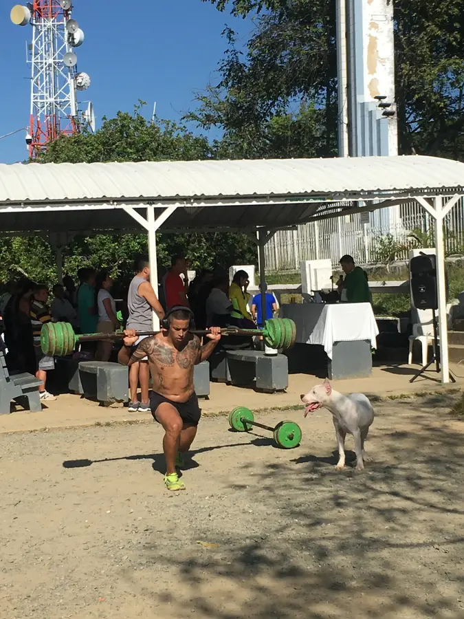 Requiem for the lost muscles