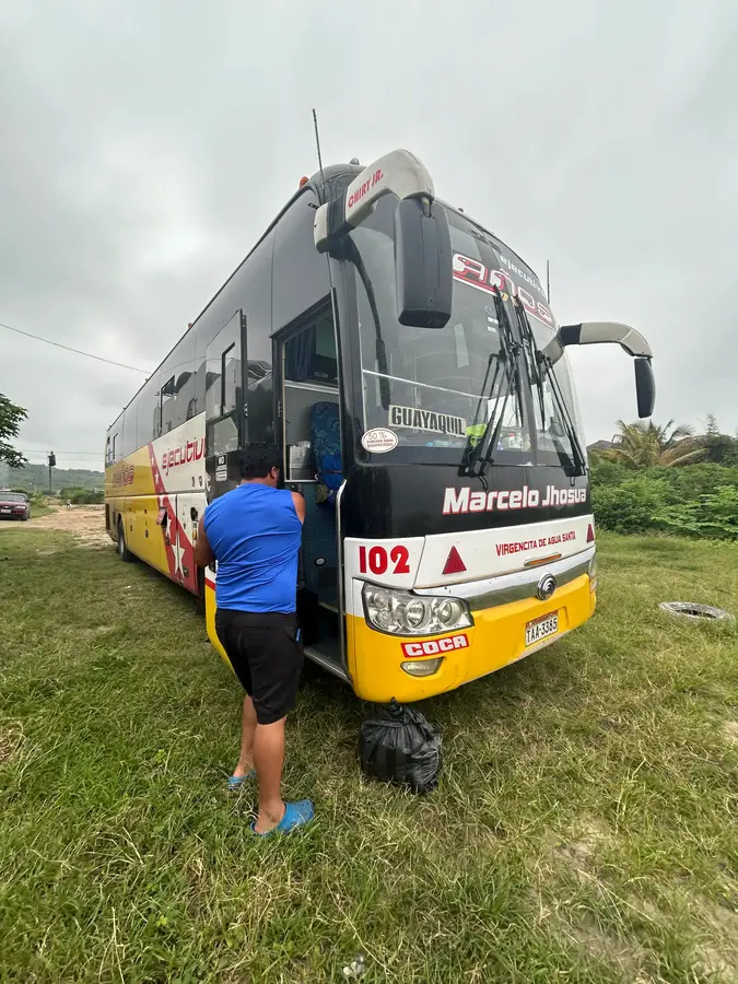 bus number 102