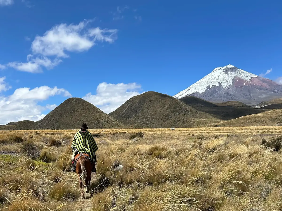 Horseback riding in Cotopaxi national park